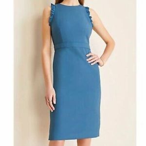 Beautiful ruffle trim dress. Ann Taylor